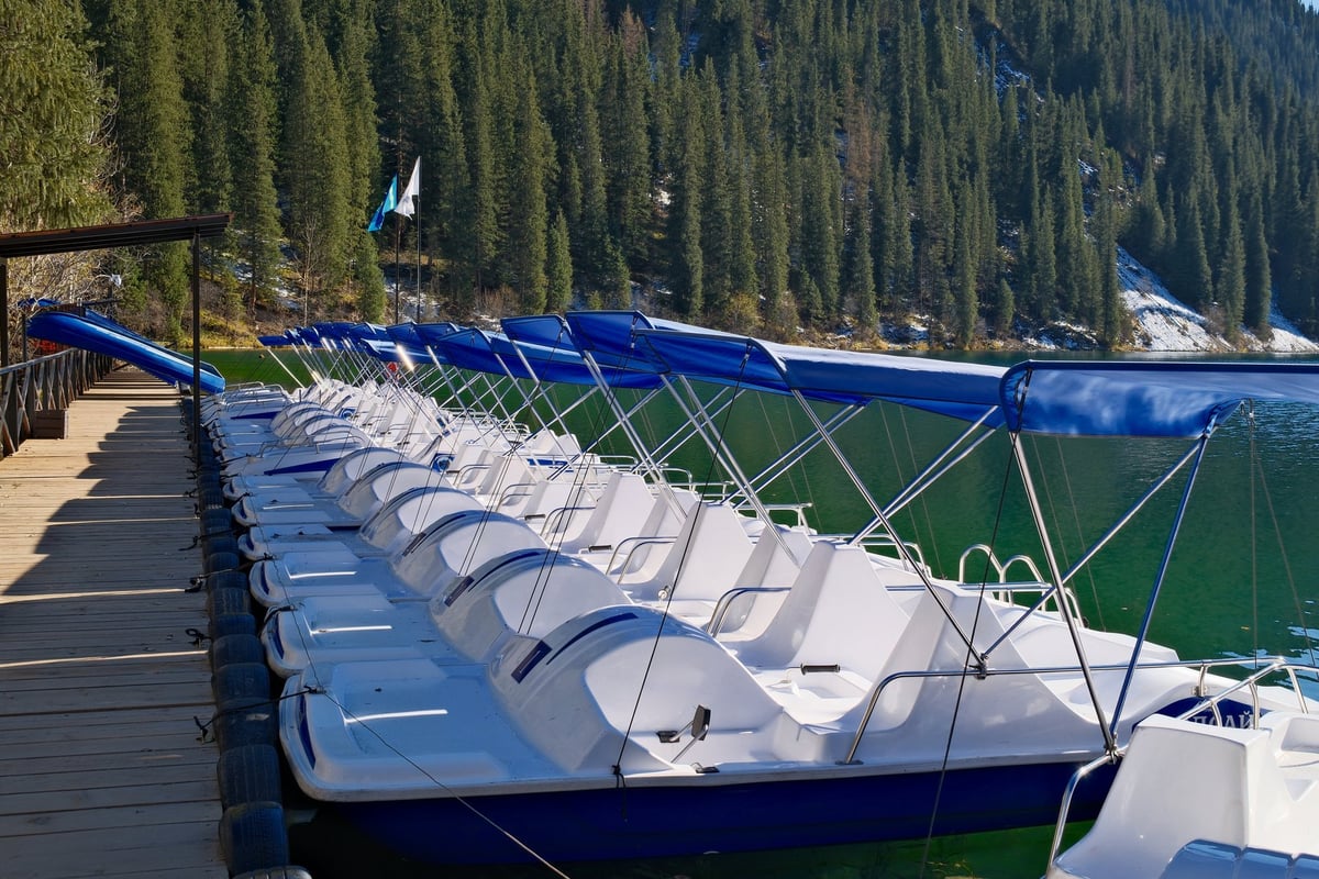 Covered rental boats docked at a calm Caribbean marina