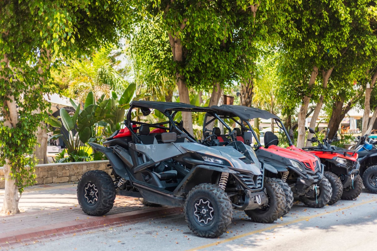 Colorful open-top rental jeeps parked under shady trees in Aruba