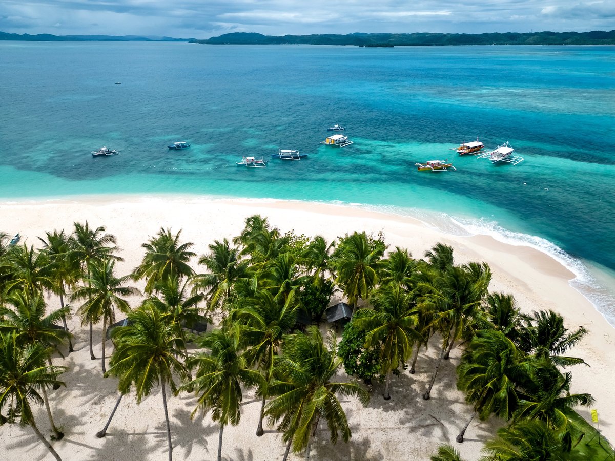 Aerial view of a tropical Caribbean beach with palm trees and boats
