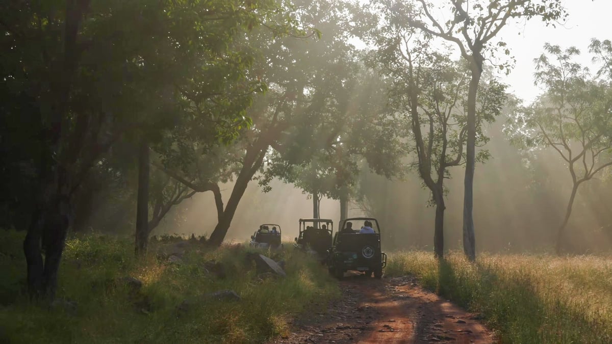 A convoy of Aruba Adventure jeeps on a dusty trail