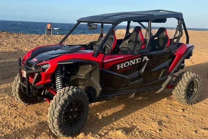Talon in Aruba Adventure's off-road fleet